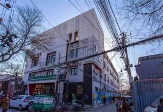 河北白三叶草草种厂家