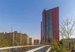 浙江橡胶原料橡胶地板供应商